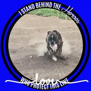 Meet your Posher, Harry